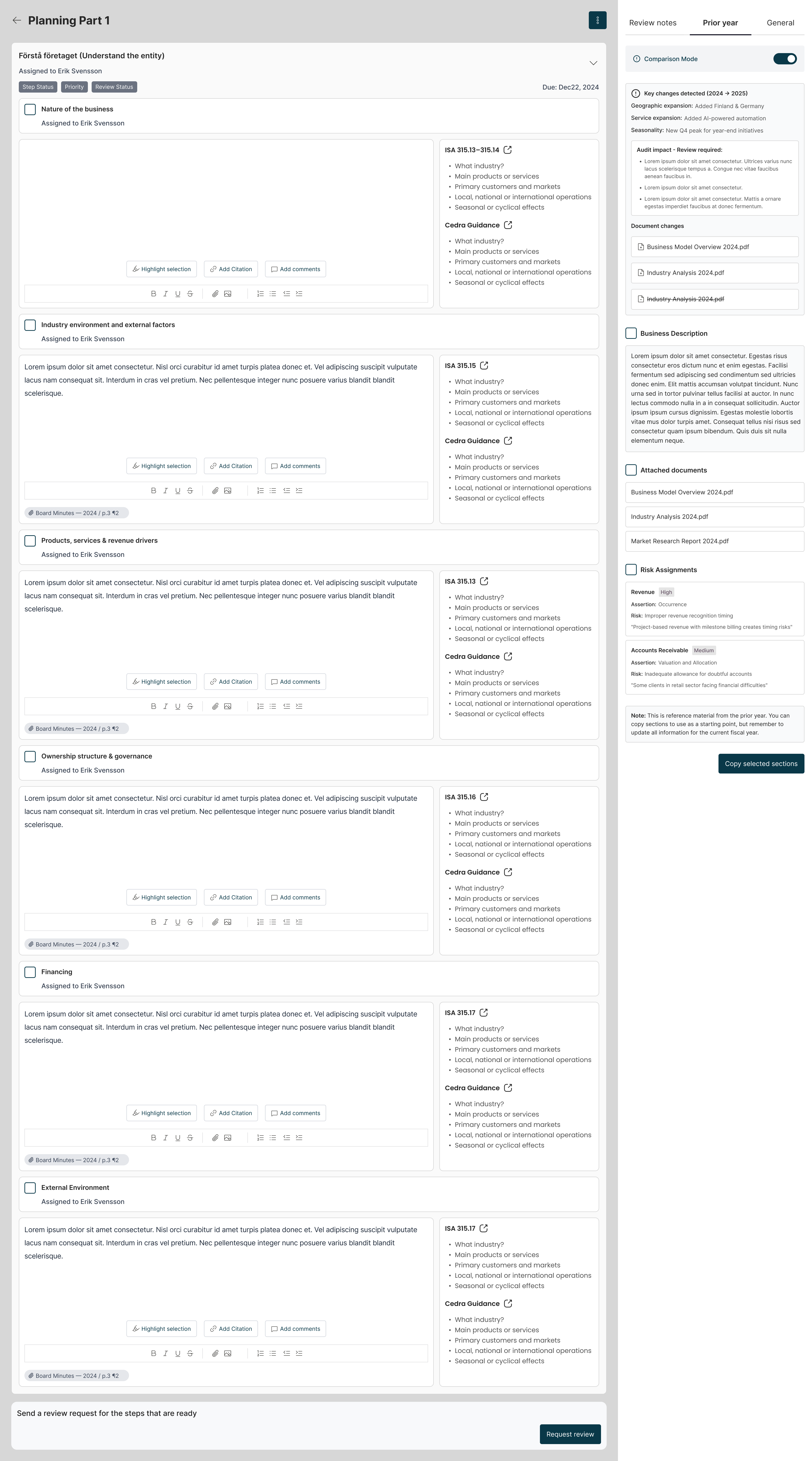 Entity understanding and ISA 315 documentation interface
